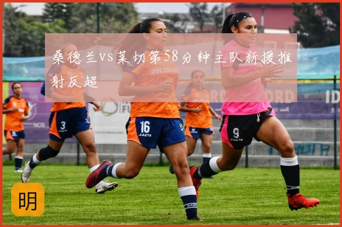 桑德兰vs莱切第58分钟主队新援推射反超